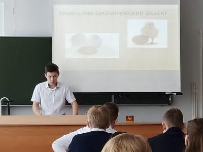 Занятие внеурочной деятельности 