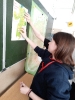 Фестиваль профессий КВЕСТ в 8 классах_2